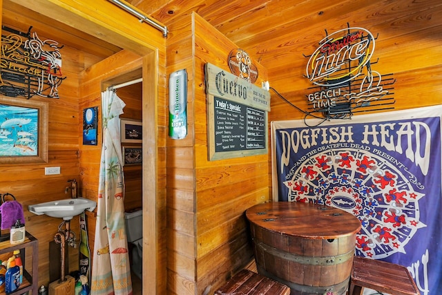 interior space with sink, wood ceiling, and wood walls