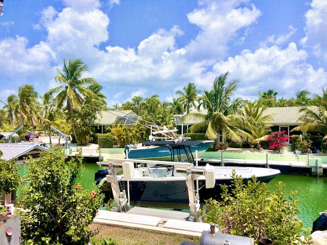 dock area with a water view