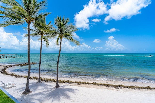 water view featuring a view of the beach