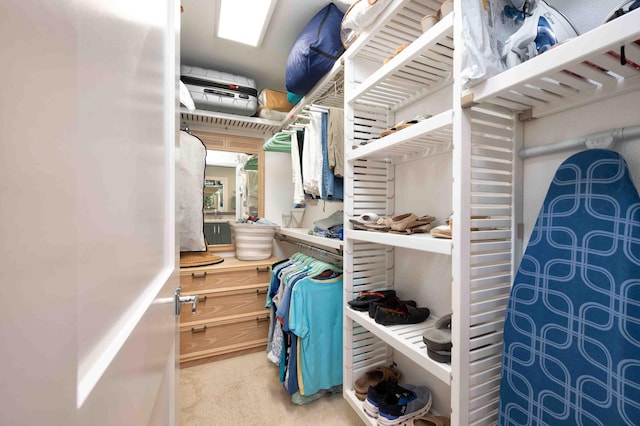 walk in closet featuring carpet flooring