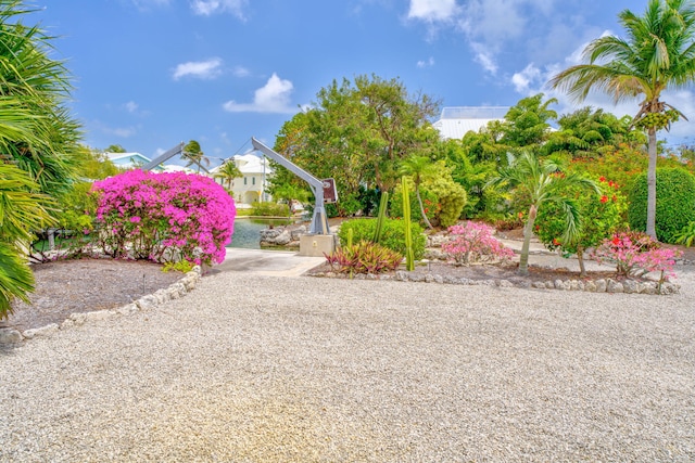 28573 Le Grand Rd, Little Torch, FL 33042 - view of yard