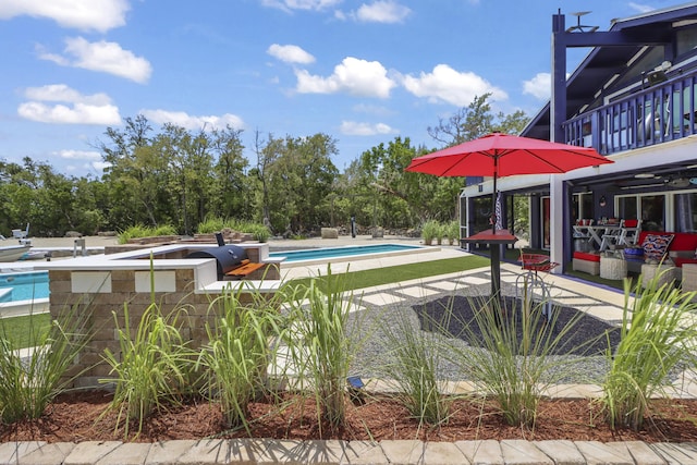 view of swimming pool with a patio