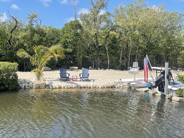 view of dock with a water view