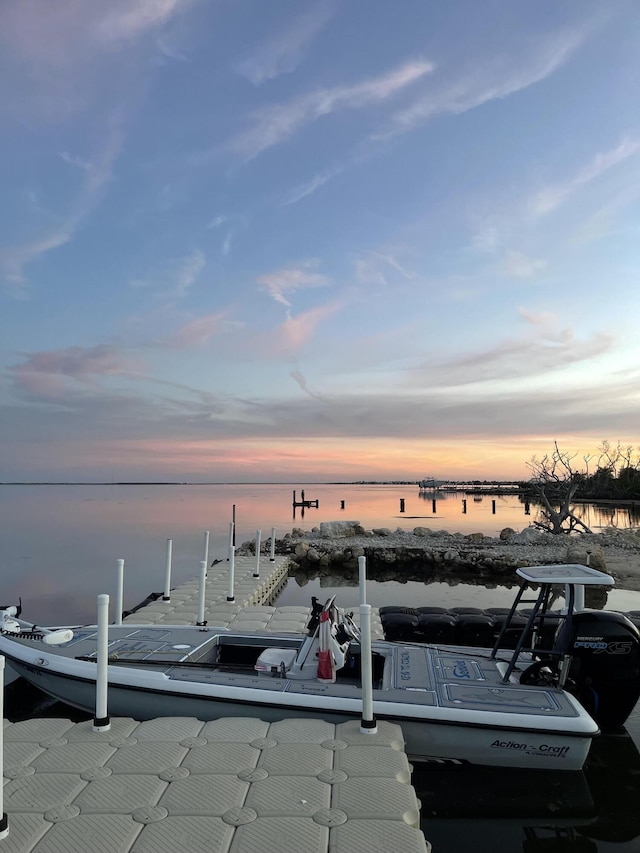 dock area featuring a water view