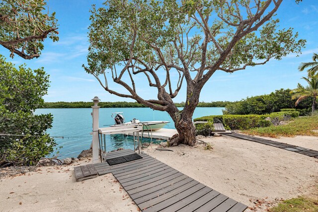 dock area with a water view