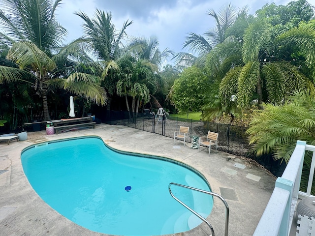 view of pool with a patio area