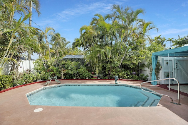 view of swimming pool with a patio