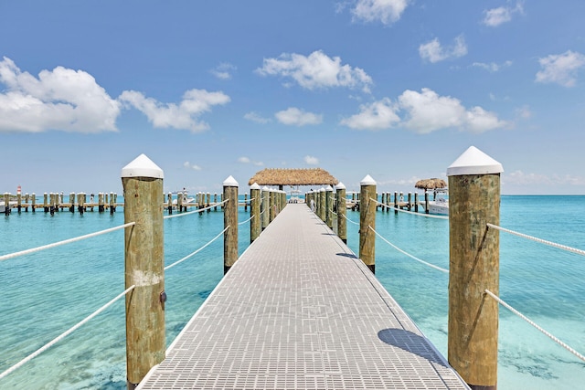 dock area with a water view