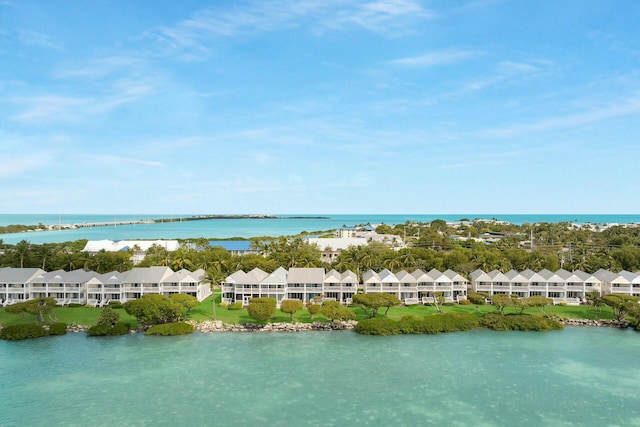 water view with a residential view