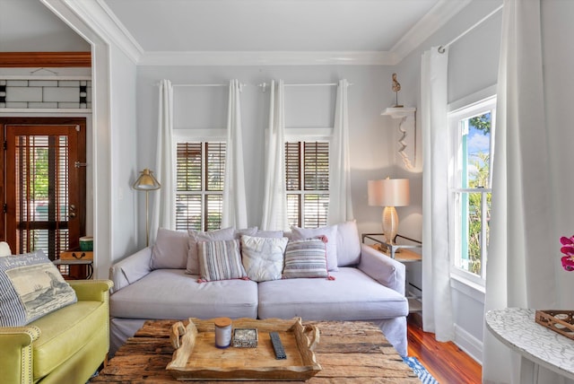 626 Margaret St, Key West, FL 33040 - living room featuring a healthy amount of sunlight, ornamental molding, and hardwood / wood-style floors