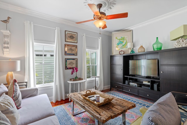 626 Margaret St, Key West, FL 33040 - living room featuring ornamental molding, wood-type flooring, a wealth of natural light, and ceiling fan