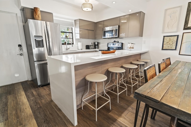 kitchen featuring dark wood-style floors, a peninsula, stainless steel appliances, and modern cabinets