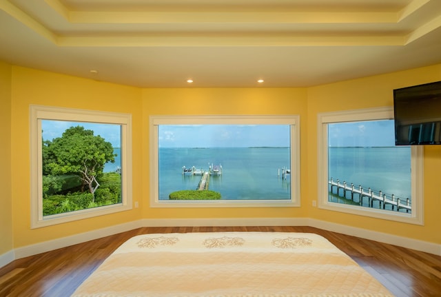 unfurnished sunroom with a tray ceiling