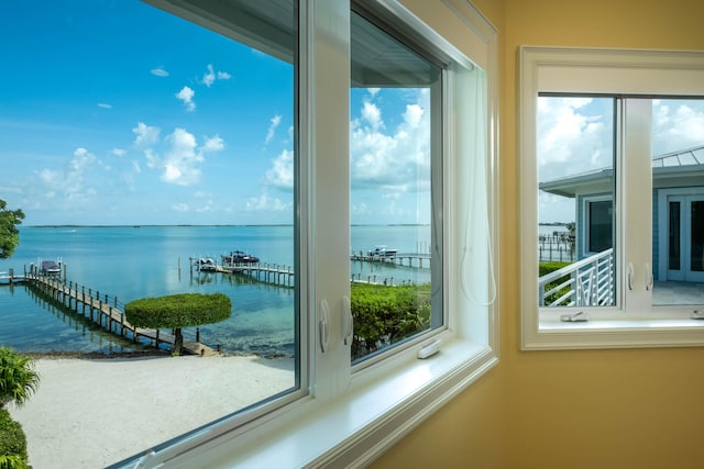 water view featuring a boat dock