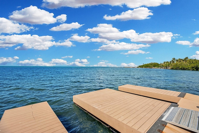 view of dock with a water view