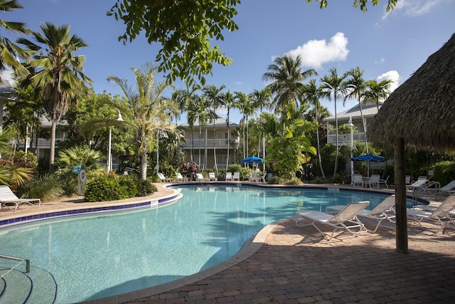 view of swimming pool