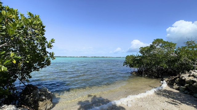 view of water feature