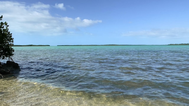 view of water feature