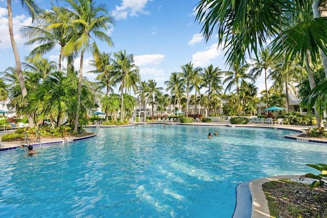 view of swimming pool