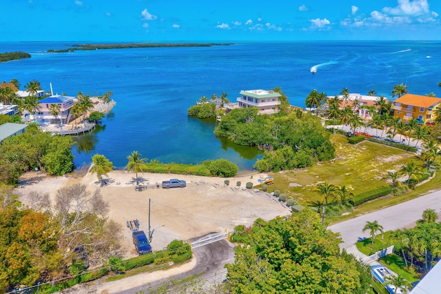 173 Hibiscus St, Tavernier, FL 33070 - photo 32