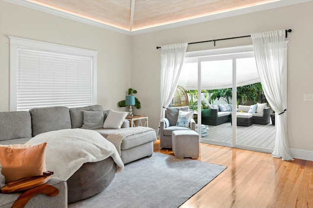 living room featuring hardwood / wood-style flooring