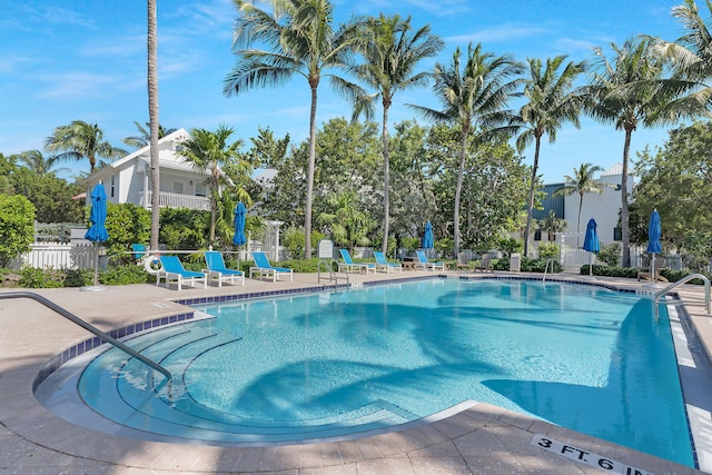 view of swimming pool featuring a patio area