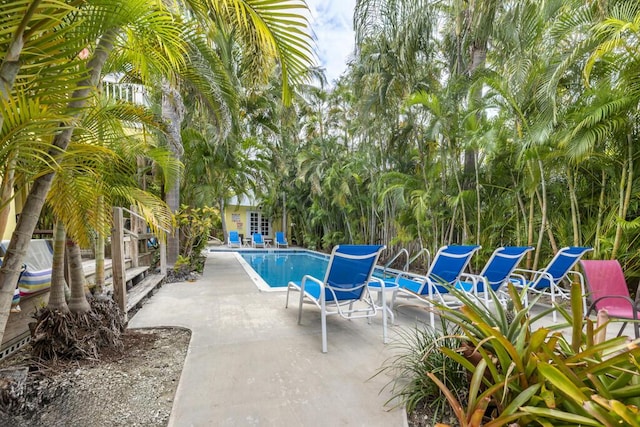 view of pool with a patio area