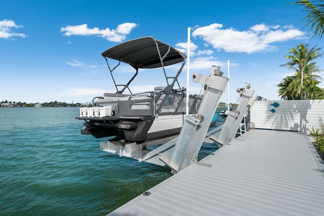 dock area with a water view