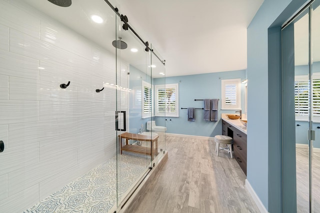 bathroom featuring vanity, plenty of natural light, wood-type flooring, and a shower with shower door