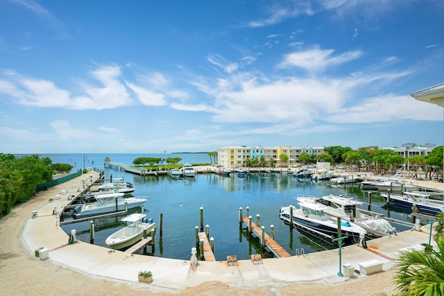 dock area with a water view