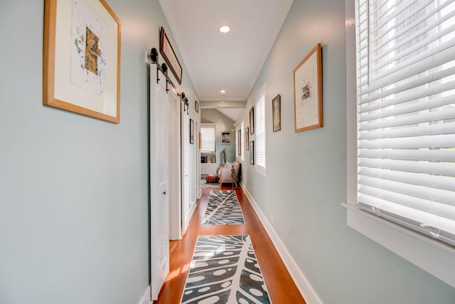 hallway featuring wood-type flooring and a barn door