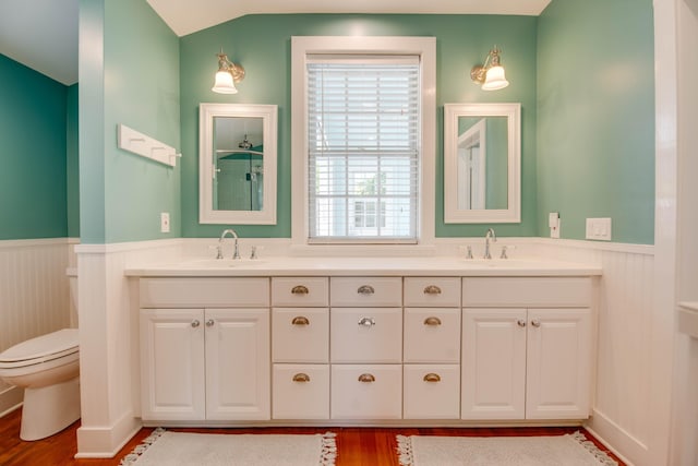 bathroom featuring vanity, wood-type flooring, and toilet