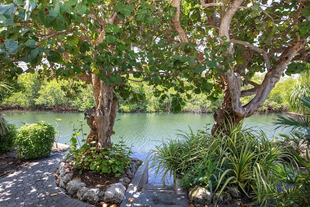 3620 Sunrise Dr, Key West, FL 33040 - photo 2