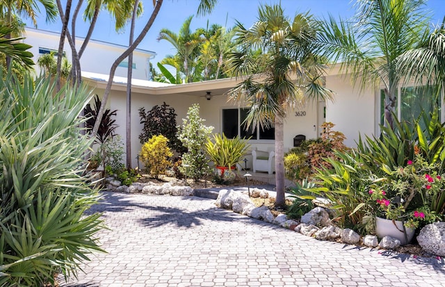 3620 Sunrise Dr, Key West, FL 33040 - photo 57
