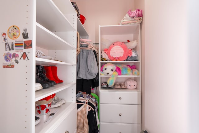 view of walk in closet