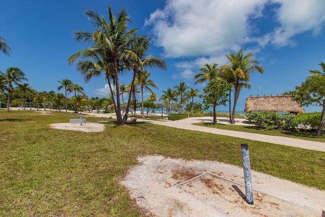 view of community featuring a yard