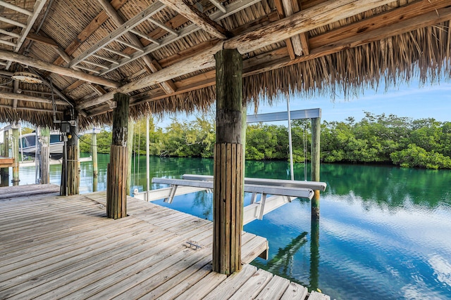 dock area with a water view