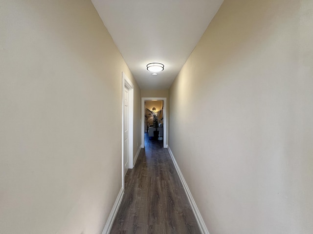 hall featuring dark wood-type flooring