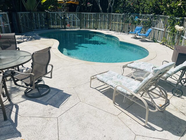 view of pool with a patio