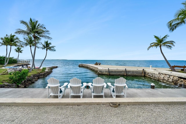 dock area with a water view