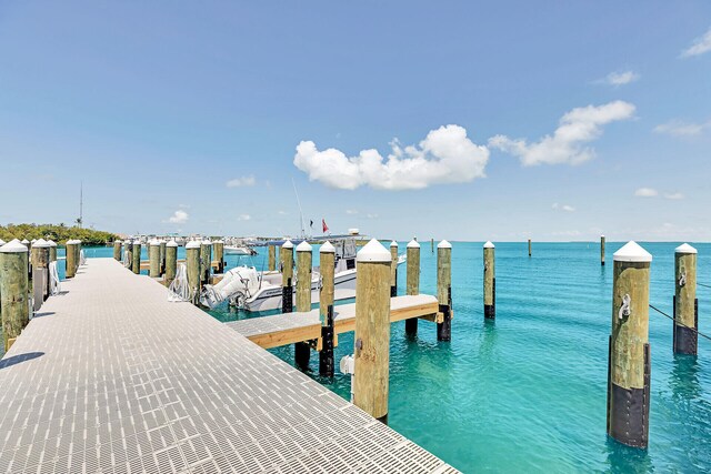 dock area featuring a water view