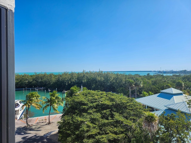 view of swimming pool featuring a water view