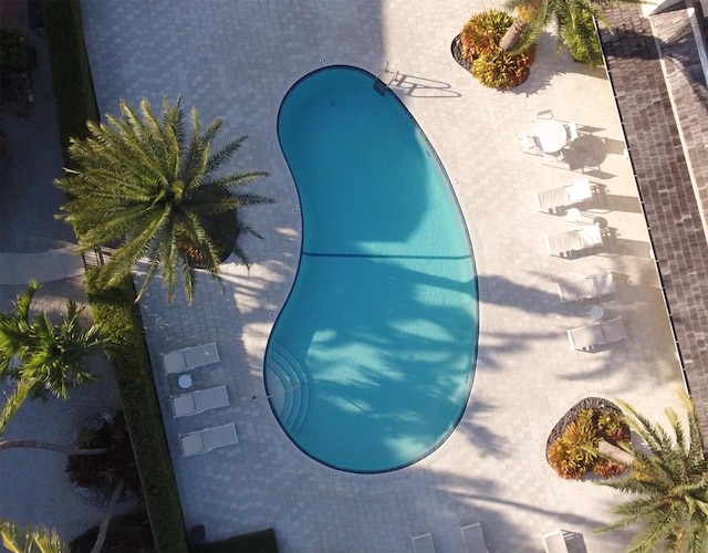 96000 Overseas Hwy Unit X54, Key Largo, FL 33037 - view of swimming pool