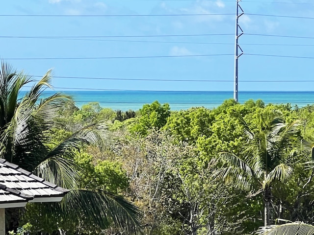 96000 Overseas Hwy Unit X54, Key Largo, FL 33037 - water view