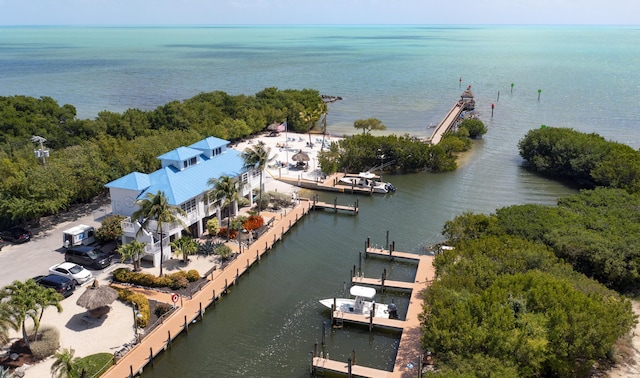 aerial view with a water view