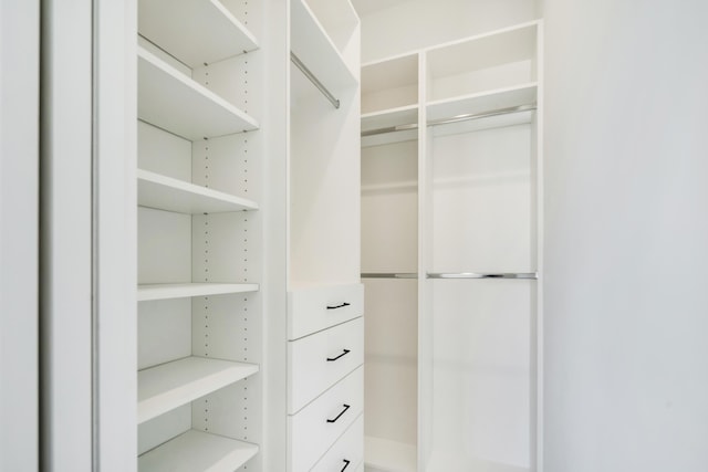 view of spacious closet