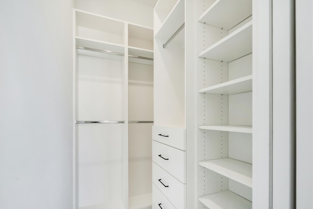 view of spacious closet