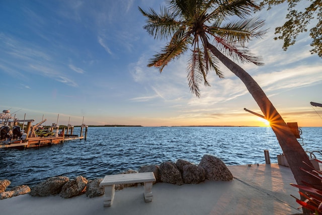 dock area featuring a water view