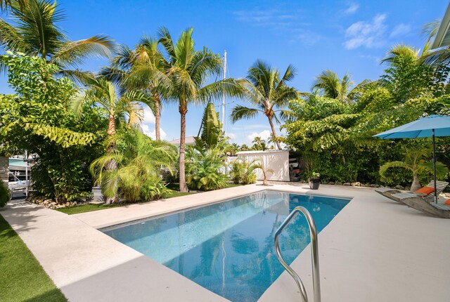 view of swimming pool featuring a patio area