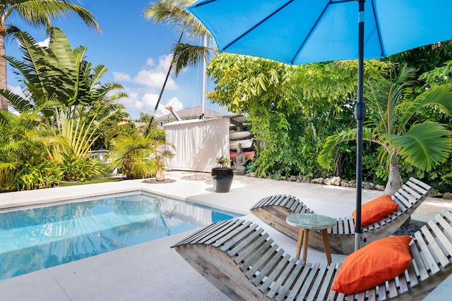 view of swimming pool with a patio